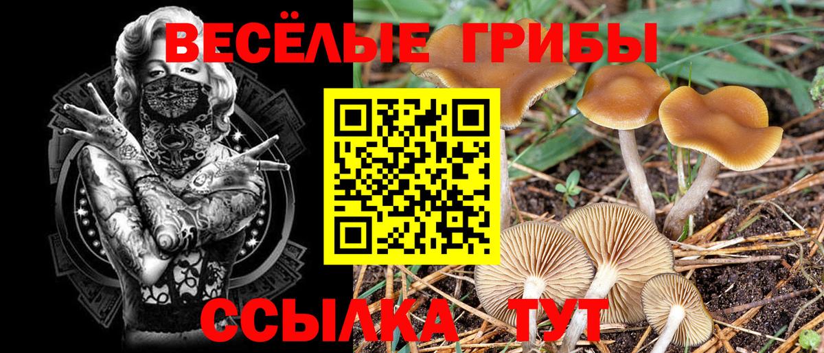Галлюциногенные грибы GOLDEN TEACHER  Галлюциногенные грибы прущие грибы  цена   Вход с VPN  Лангепас 
