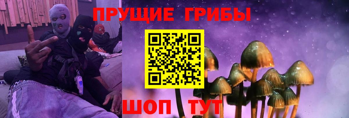 Псилоцибиновые грибы Psilocybe Лангепас